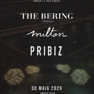 Concert a tres bandes